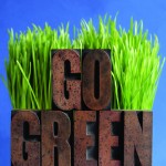 Dentists Seeking a Bright Green Future