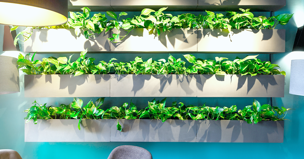 Plant-lined wall in a reception area.