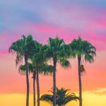 dental office with tropical vibes feature image
