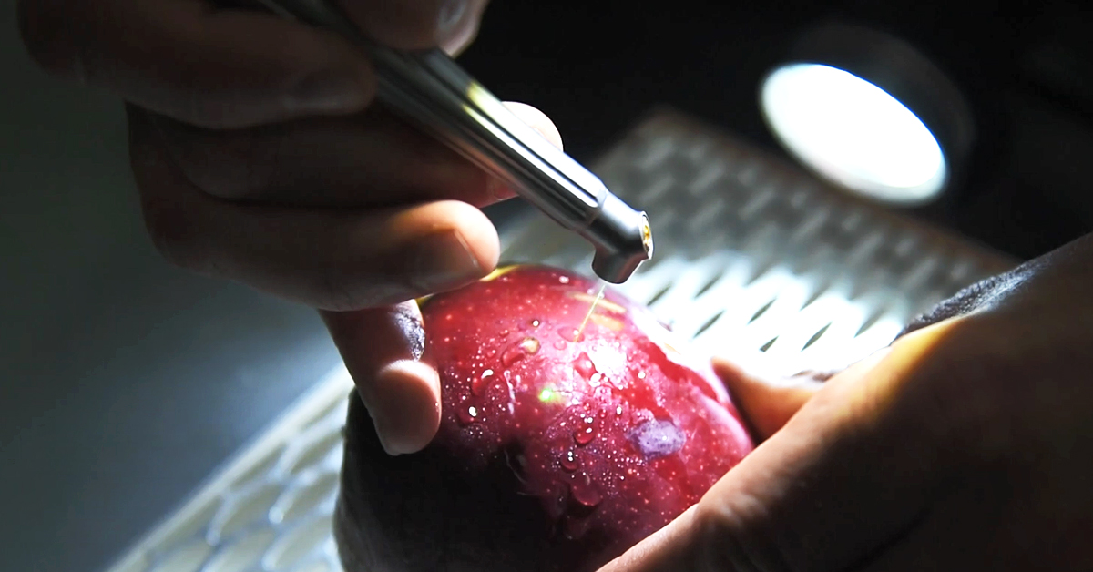 Solea all-tissue-laser demonstration with an apple.